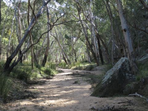 Pilliga Forest & Hot Artesian Bore Baths